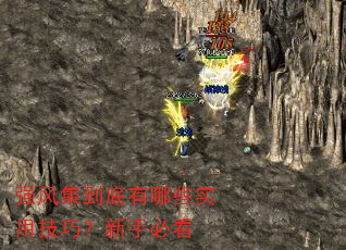 ǿ�缯��������Щʵ�ü��ɣ����ֱؿ�