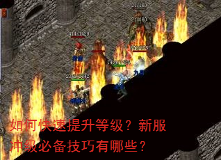 如何快速提升等级?新服冲级必备技巧有哪些? 如何快速提升等级?新服冲级必备技巧有哪些?