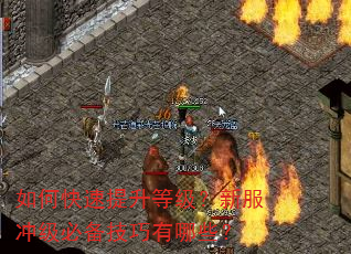 如何快速提升等级?新服冲级必备技巧有哪些? 如何快速提升等级?新服冲级必备技巧有哪些?