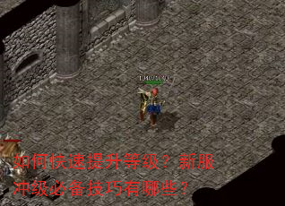 如何快速提升等级?新服冲级必备技巧有哪些? 如何快速提升等级?新服冲级必备技巧有哪些?