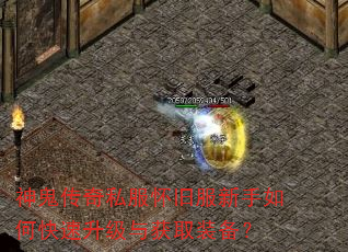 神鬼传奇私服怀旧服新手如何快速升级与获取装备? 神鬼传奇私服怀旧服新手如何快速升级与获取装备?