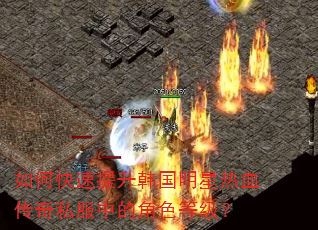 如何快速提升韩国明星热血传奇私服中的角色等级? 如何快速提升韩国明星热血传奇私服中的角色等级?