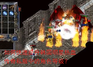 如何快速提升韩国明星热血传奇私服中的角色等级? 如何快速提升韩国明星热血传奇私服中的角色等级?