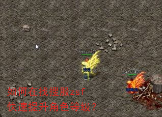如何在找搜服zsf快速提升角色等级? 如何在找搜服zsf快速提升角色等级?