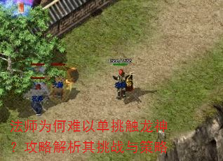 法师为何难以单挑触龙神?攻略解析其挑战与策略 法师为何难以单挑触龙神?攻略解析其挑战与策略