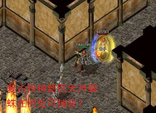 复古传神新区天月蜘蛛在何处可捕获? 复古传神新区天月蜘蛛在何处可捕获?