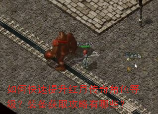 如何快速提升红月传奇角色等级?装备获取攻略有哪些? 如何快速提升红月传奇角色等级?装备获取攻略有哪些?