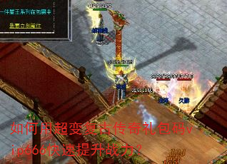 ����ó��临�Ŵ��������vip666��������ս����