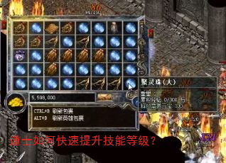 道士如何快速提升技能等级? 道士如何快速提升技能等级?