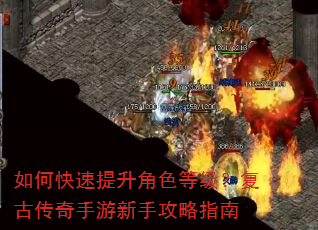 如何快速提升角色等级?复古传奇手游新手攻略指南 如何快速提升角色等级?复古传奇手游新手攻略指南