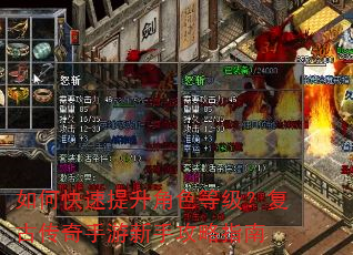 如何快速提升角色等级?复古传奇手游新手攻略指南 如何快速提升角色等级?复古传奇手游新手攻略指南