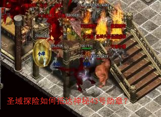 圣域探险如何抵达神秘43号勋章? 圣域探险如何抵达神秘43号勋章?