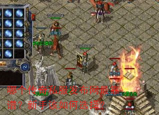 哪个传奇私服发布网最靠谱?新手该如何选择? 哪个传奇私服发布网最靠谱?新手该如何选择?