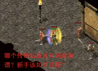 哪个传奇私服发布网最靠谱?新手该如何选择? 哪个传奇私服发布网最靠谱?新手该如何选择?