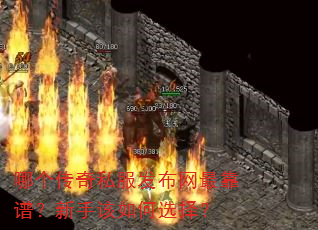 哪个传奇私服发布网最靠谱?新手该如何选择? 哪个传奇私服发布网最靠谱?新手该如何选择?