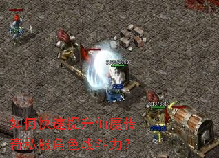 如何快速提升仙魔传奇私服角色战斗力? 如何快速提升仙魔传奇私服角色战斗力?