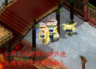 如何正确选择并培养迷失传奇中的英雄角色? 如何正确选择并培养迷失传奇中的英雄角色?