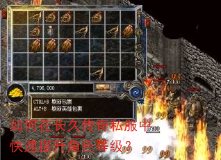 如何在长久传奇私服中快速提升角色等级? 如何在长久传奇私服中快速提升角色等级?