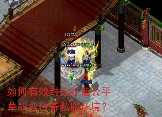 如何有效封挂打造公平单职业传奇私服环境? 如何有效封挂打造公平单职业传奇私服环境?
