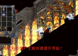 如何利用僵尸王殿快速提升等级? 如何利用僵尸王殿快速提升等级?
