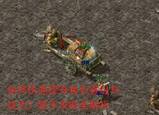 如何快速提升角色等级与战力?新手攻略全解析 如何快速提升角色等级与战力?新手攻略全解析