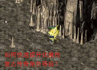 如何快速提升伏魔传复古传奇角色等级? 如何快速提升伏魔传复古传奇角色等级?