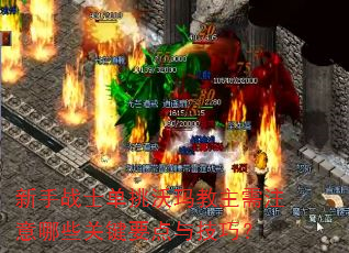 ����սʿ�������������ע����Щ�ؼ�Ҫ���뼼�ɣ�