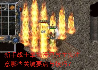 ����սʿ�������������ע����Щ�ؼ�Ҫ���뼼�ɣ�
