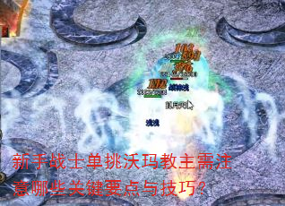 ����սʿ�������������ע����Щ�ؼ�Ҫ���뼼�ɣ�