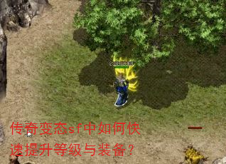 传奇变态sf中如何快速提升等级与装备? 传奇变态sf中如何快速提升等级与装备?