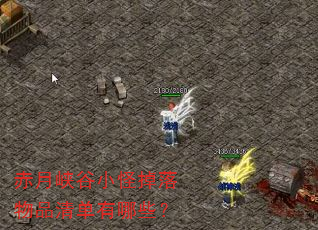 赤月峡谷小怪掉落物品清单有哪些? 赤月峡谷小怪掉落物品清单有哪些?