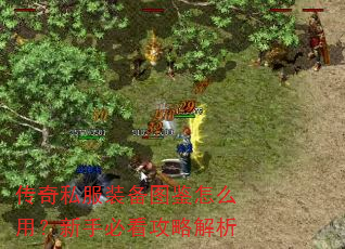 传奇私服装备图鉴怎么用?新手必看攻略解析 传奇私服装备图鉴怎么用?新手必看攻略解析