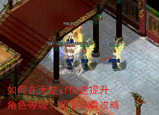 如何在天堂sf快速提升角色等级?新手必看攻略 如何在天堂sf快速提升角色等级?新手必看攻略