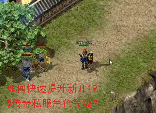 如何快速提升新开195传奇私服角色等级? 如何快速提升新开195传奇私服角色等级?