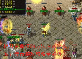 提升生命值的方法原来这么多?传奇游戏攻略全解析 提升生命值的方法原来这么多?传奇游戏攻略全解析
