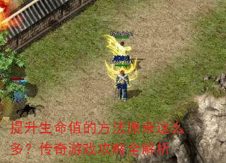 提升生命值的方法原来这么多?传奇游戏攻略全解析 提升生命值的方法原来这么多?传奇游戏攻略全解析