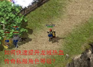 如何快速提升龙域热血传奇私服角色等级? 如何快速提升龙域热血传奇私服角色等级?