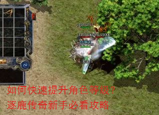 如何快速提升角色等级?逐鹿传奇新手必看攻略 如何快速提升角色等级?逐鹿传奇新手必看攻略