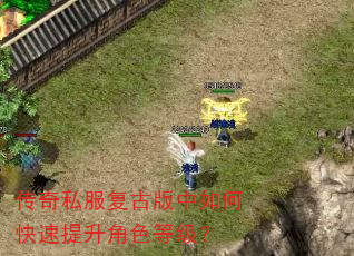 传奇私服复古版中如何快速提升角色等级? 传奇私服复古版中如何快速提升角色等级?