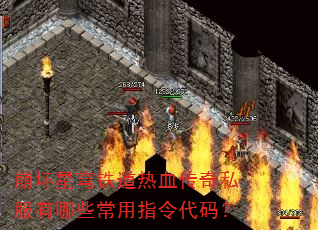�������������Ѫ����˽������Щ����ָ����룿