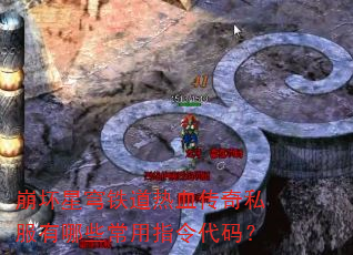 �������������Ѫ����˽������Щ����ָ����룿