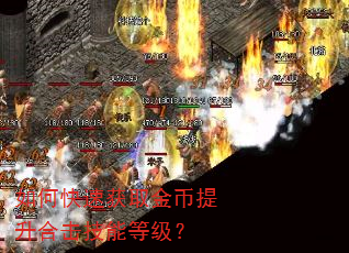 如何快速获取金币提升合击技能等级? 如何快速获取金币提升合击技能等级?