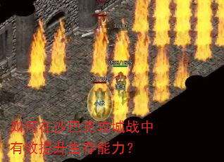 �����ɳ�Ϳ˹���ս����Ч��������������