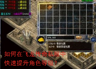 如何在飞龙传奇私服中快速提升角色等级? 如何在飞龙传奇私服中快速提升角色等级?