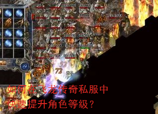 如何在飞龙传奇私服中快速提升角色等级? 如何在飞龙传奇私服中快速提升角色等级?