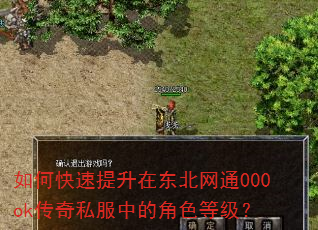 如何快速提升在东北网通000ok传奇私服中的角色等级? 如何快速提升在东北网通000ok传奇私服中的角色等级?