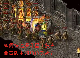 如何快速提升星王复古合击版本的角色等级? 如何快速提升星王复古合击版本的角色等级?