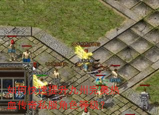 如何快速提升九州完美热血传奇私服角色等级? 如何快速提升九州完美热血传奇私服角色等级?