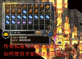 ����˽�������tlbb888���ʹ�ò��ܿ�������ս����