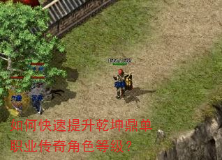 如何快速提升乾坤鼎单职业传奇角色等级? 如何快速提升乾坤鼎单职业传奇角色等级?